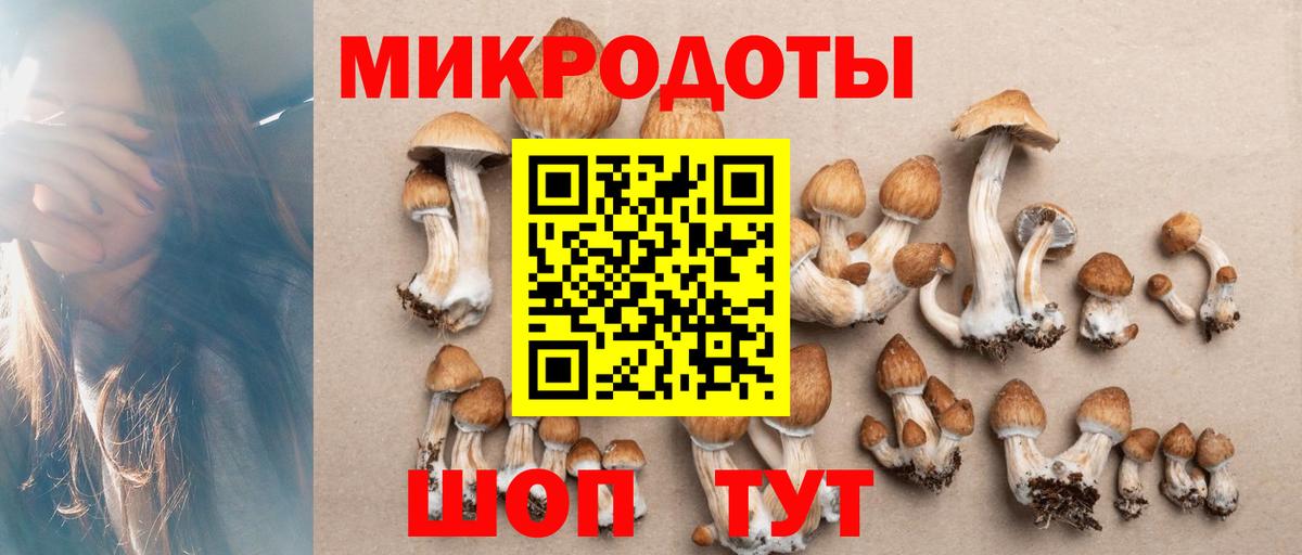 Конопля Советск