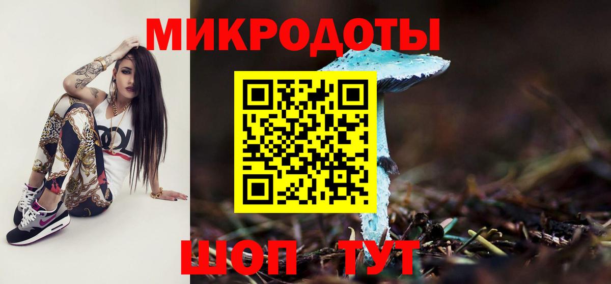 Советск  Галлюциногенные грибы Psilocybe  Вход с VPN 